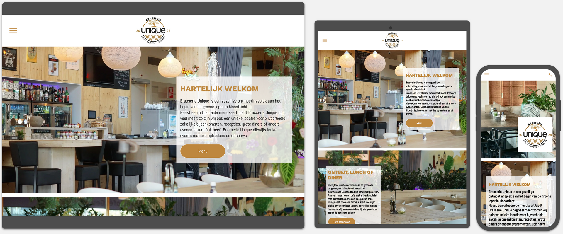 Webvizi Webdesign Lanaken, Maastricht