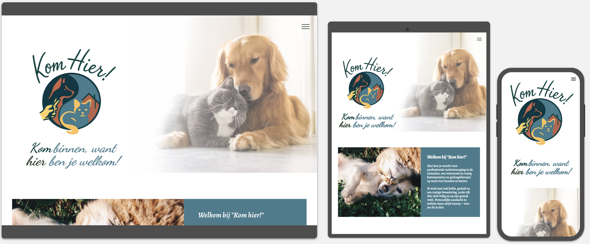 Webvizi Webdesign Lanaken, Maastricht