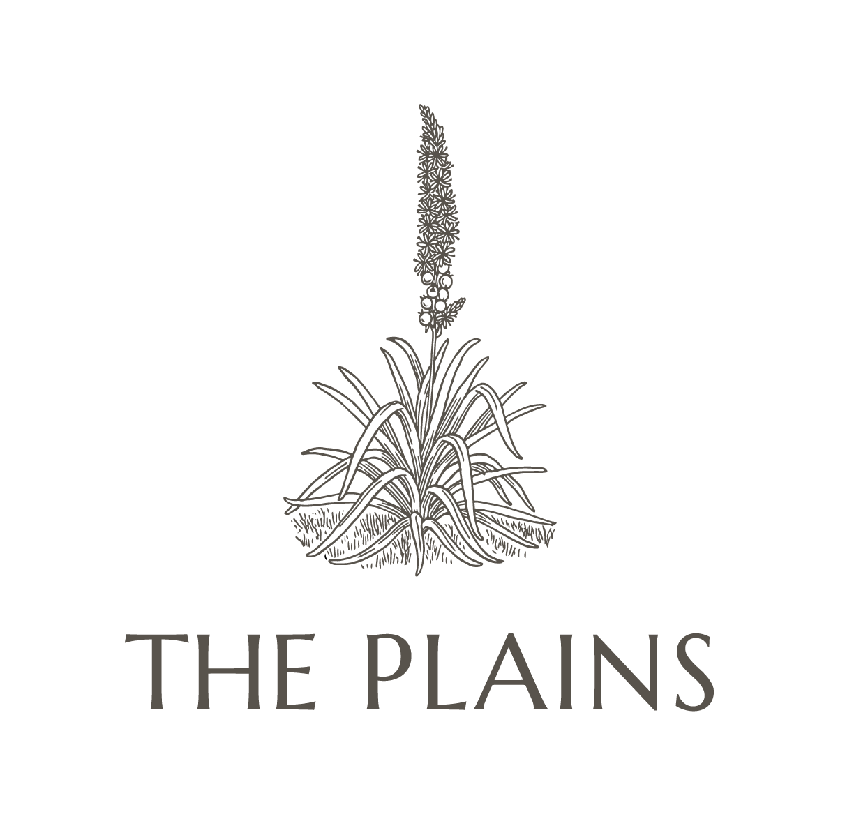 Floor Plans | The Plains Apartments | Watertown, SD