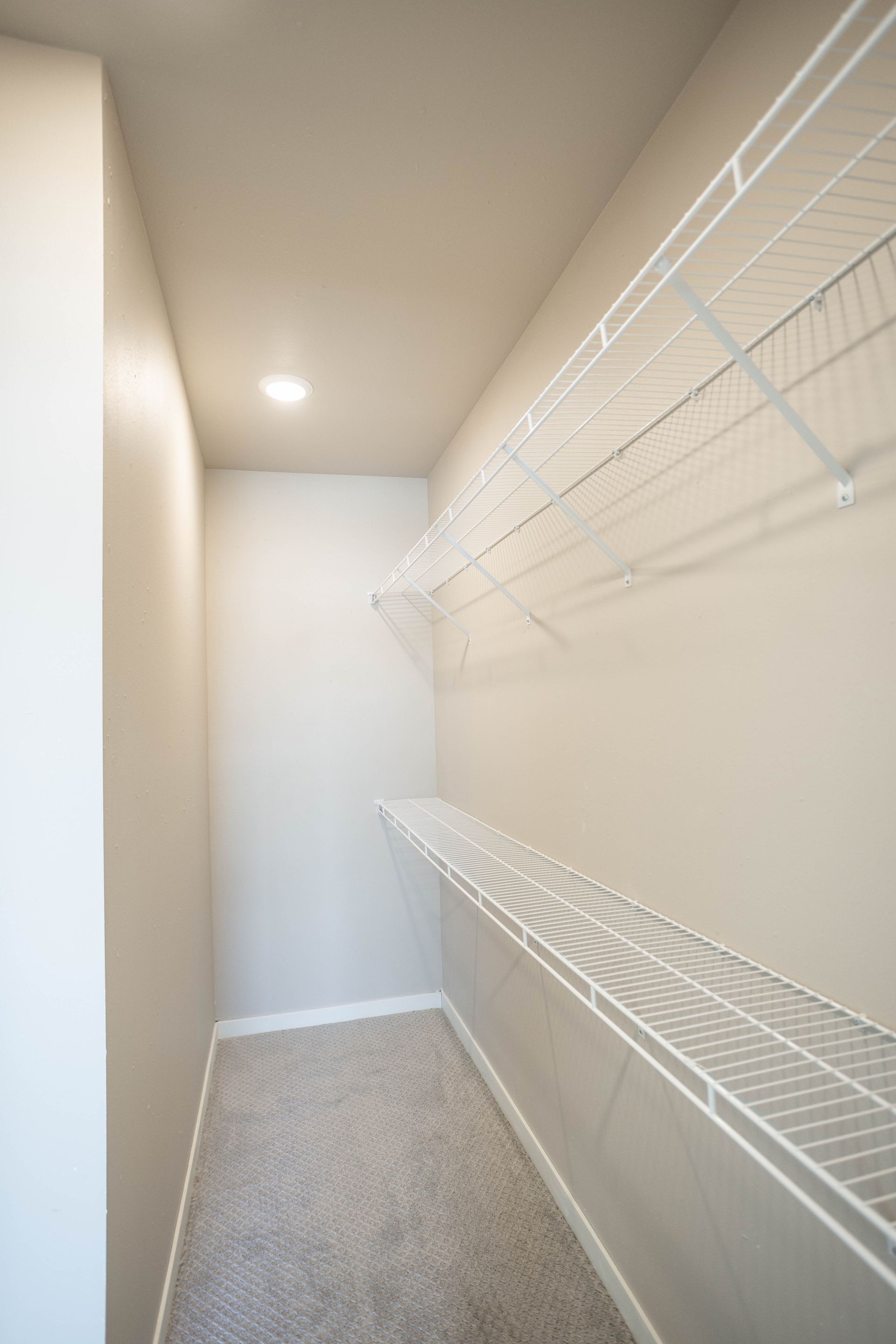 An empty walk in closet with white wire shelves and a carpeted floor.