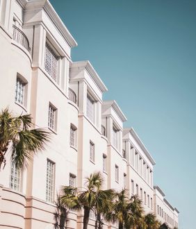A large white building with palm trees in front of it
