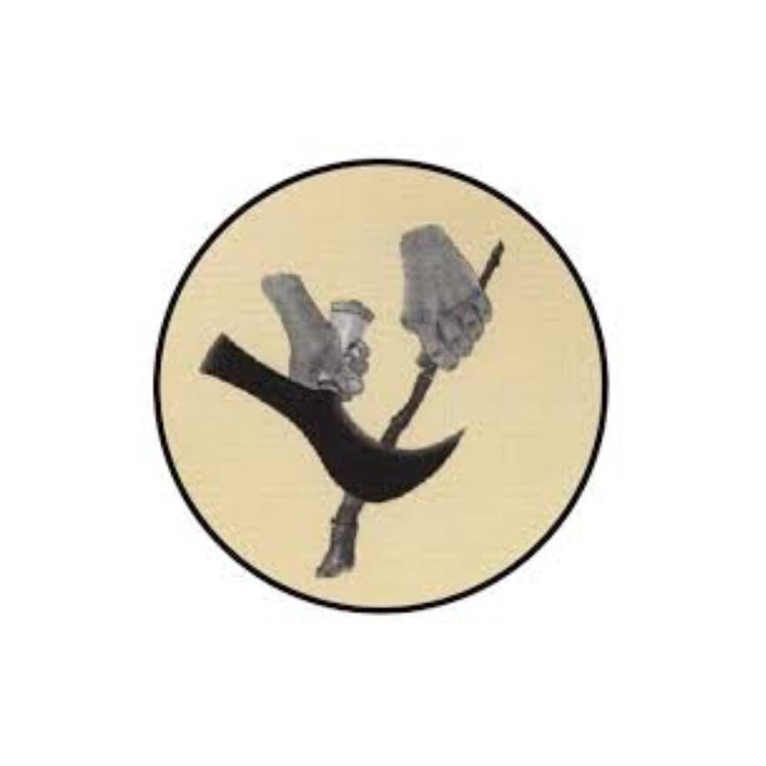 Un disegno di un uccello su un ramo in un cerchio