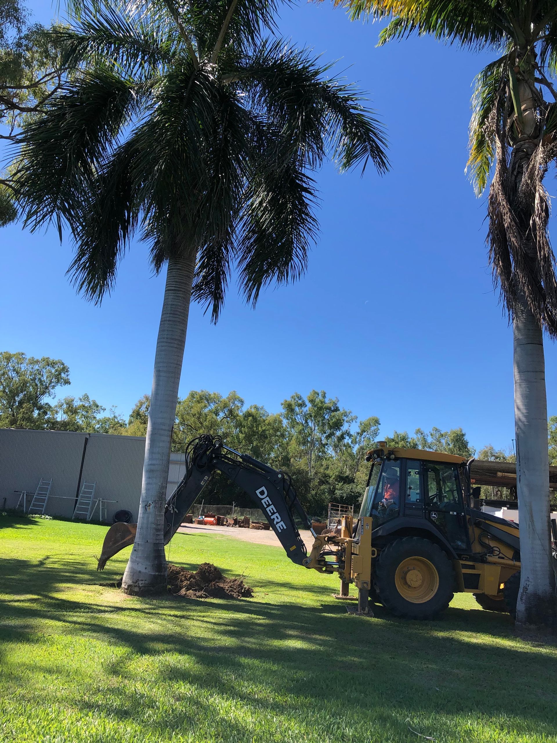 Back Hoe and Trees - Excavator Hire Kelso, QLD