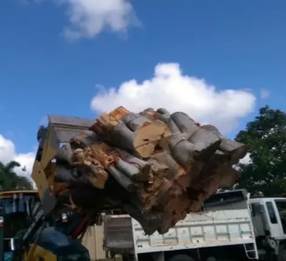 Stump Removal - Excavator Hire Kelso, QLD