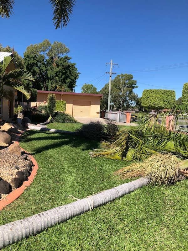 Removing Trees - Excavator Hire Kelso, QLD