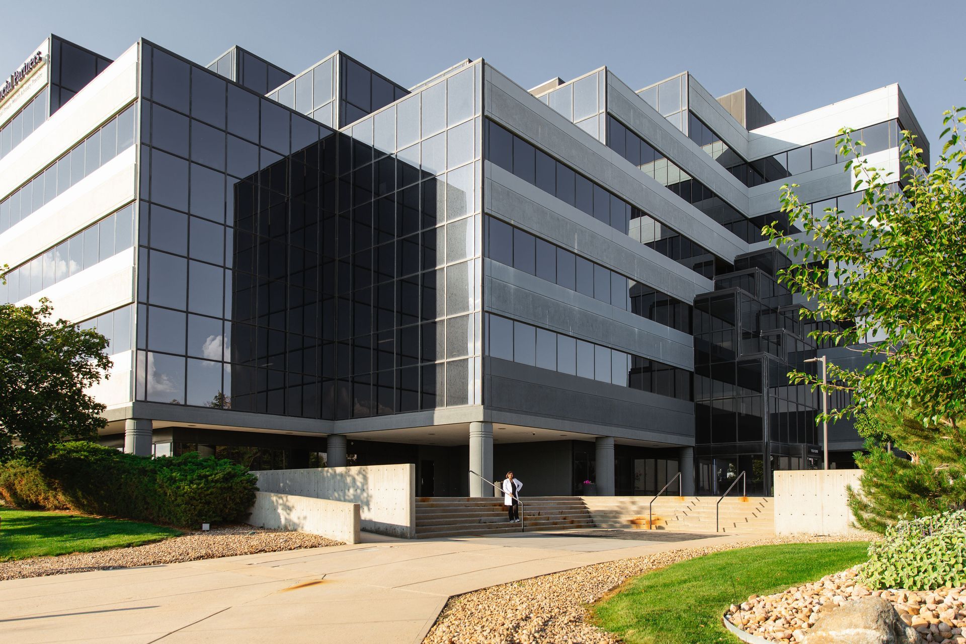 dentist in thornton co