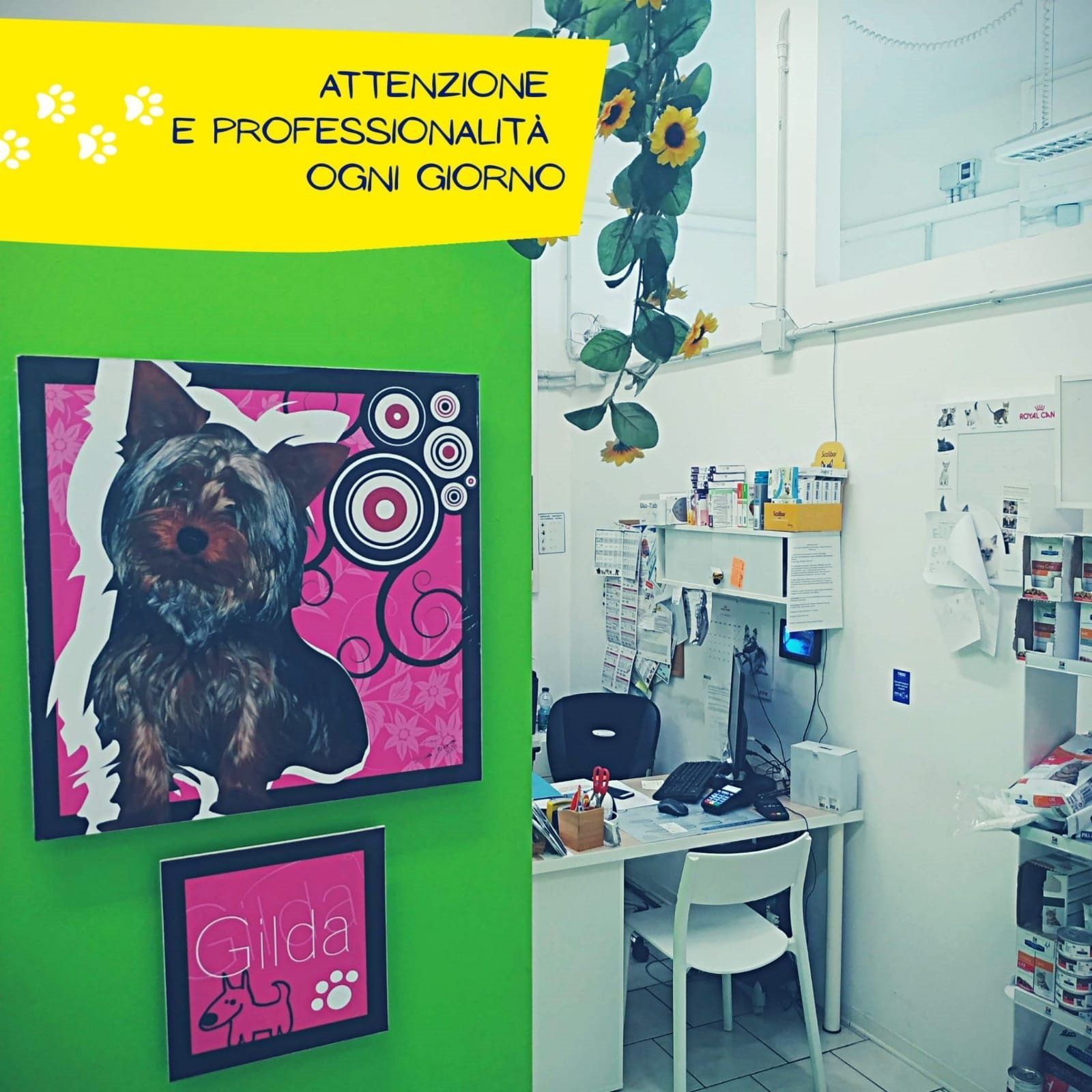 ambulatorio veterinario associato dr ferrarese