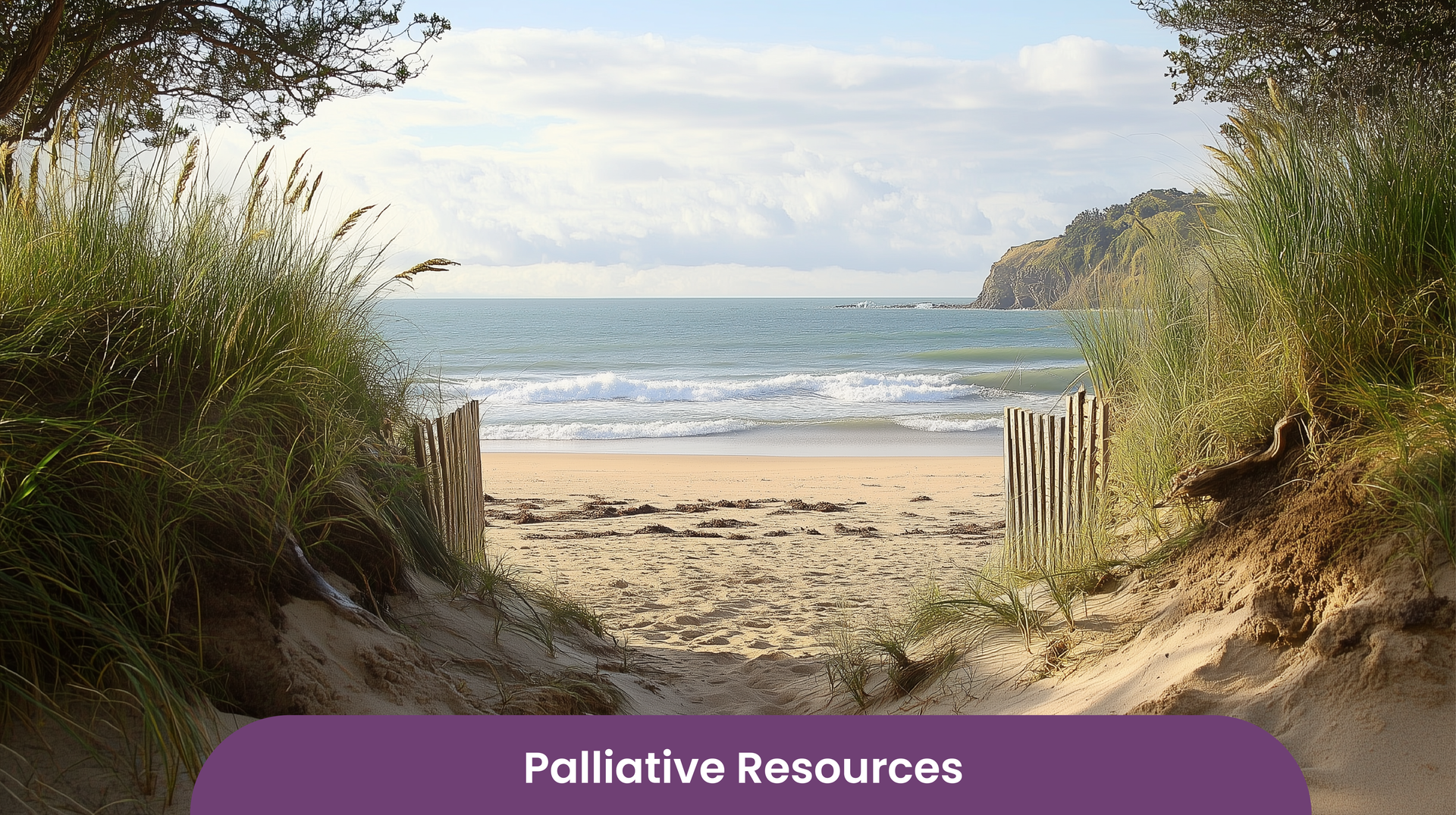 An enterance to a beach.