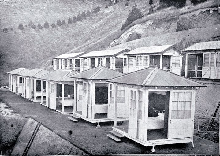 A black and white photo of a row of small houses - Nurse Maude