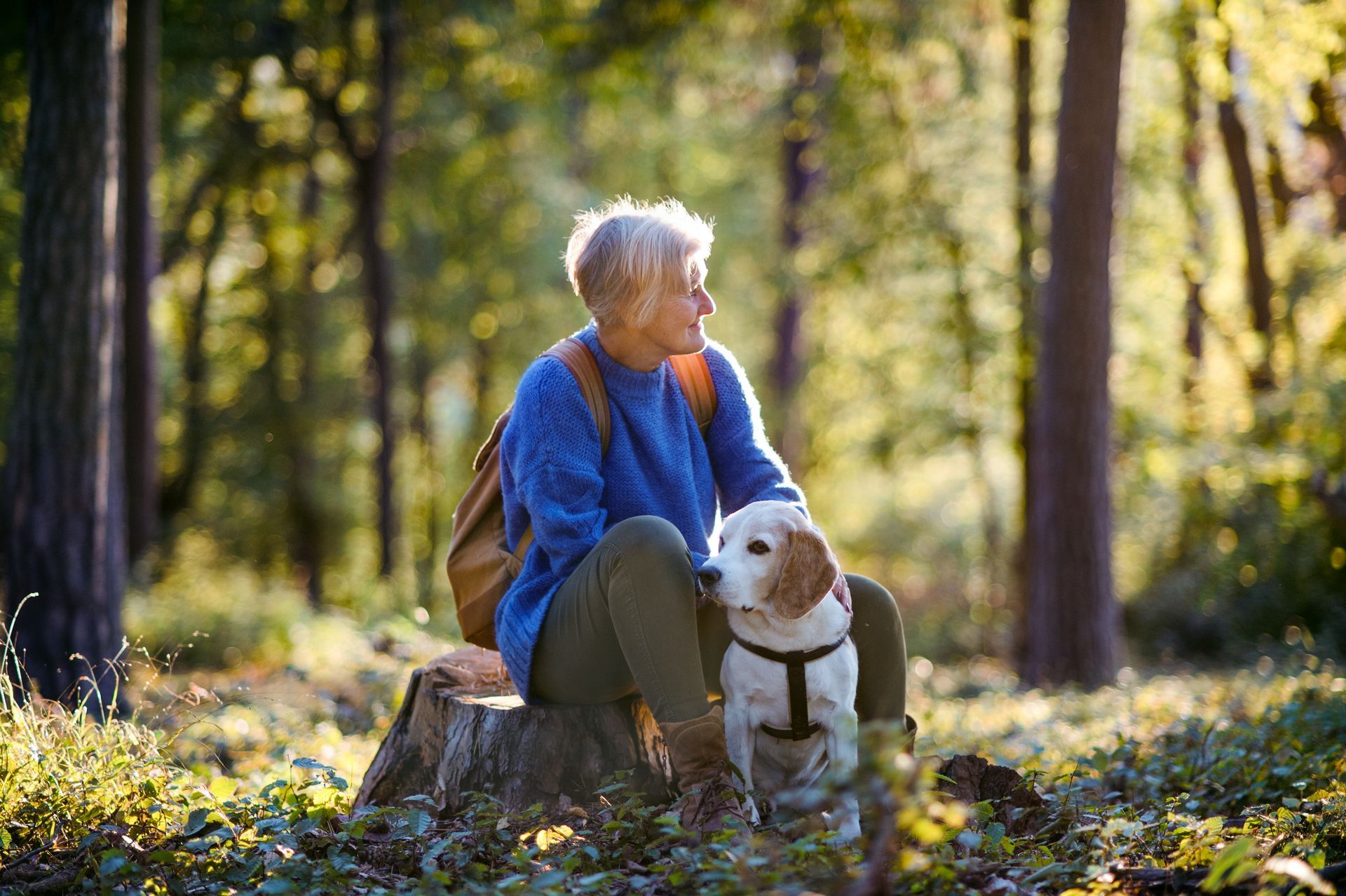 A woman is sitting on a tree stump with her dog.