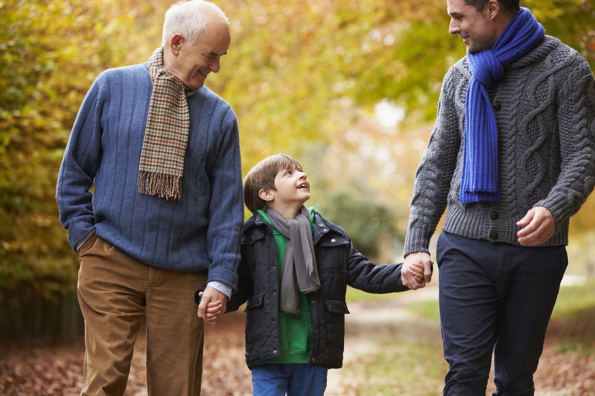 Two men and a little boy are walking in the woods holding hands