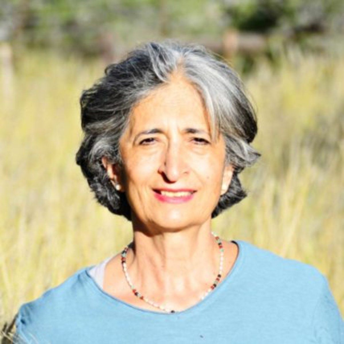 Nasrin Siege