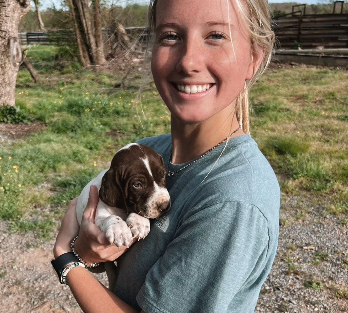 User — Jackson, MS — Forest Hill Animal