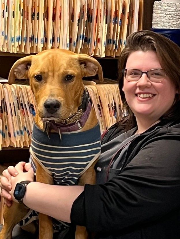 Katie Norsworthy — Jackson, MS — Forest Hill Animal