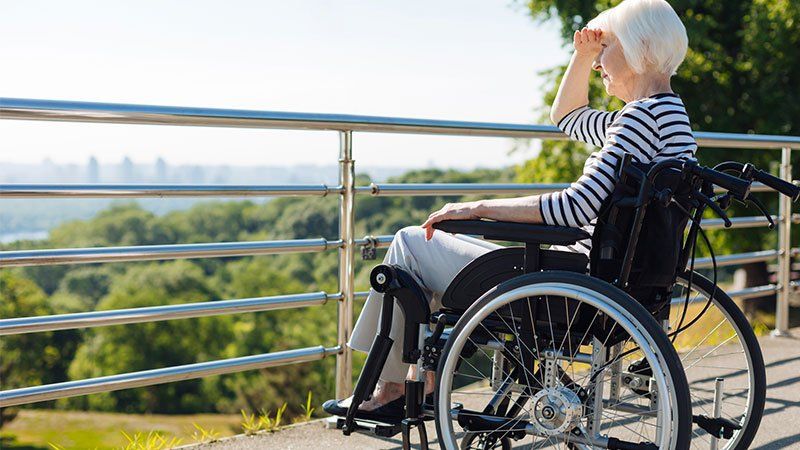 Older woman in a wheelchair looking at trees