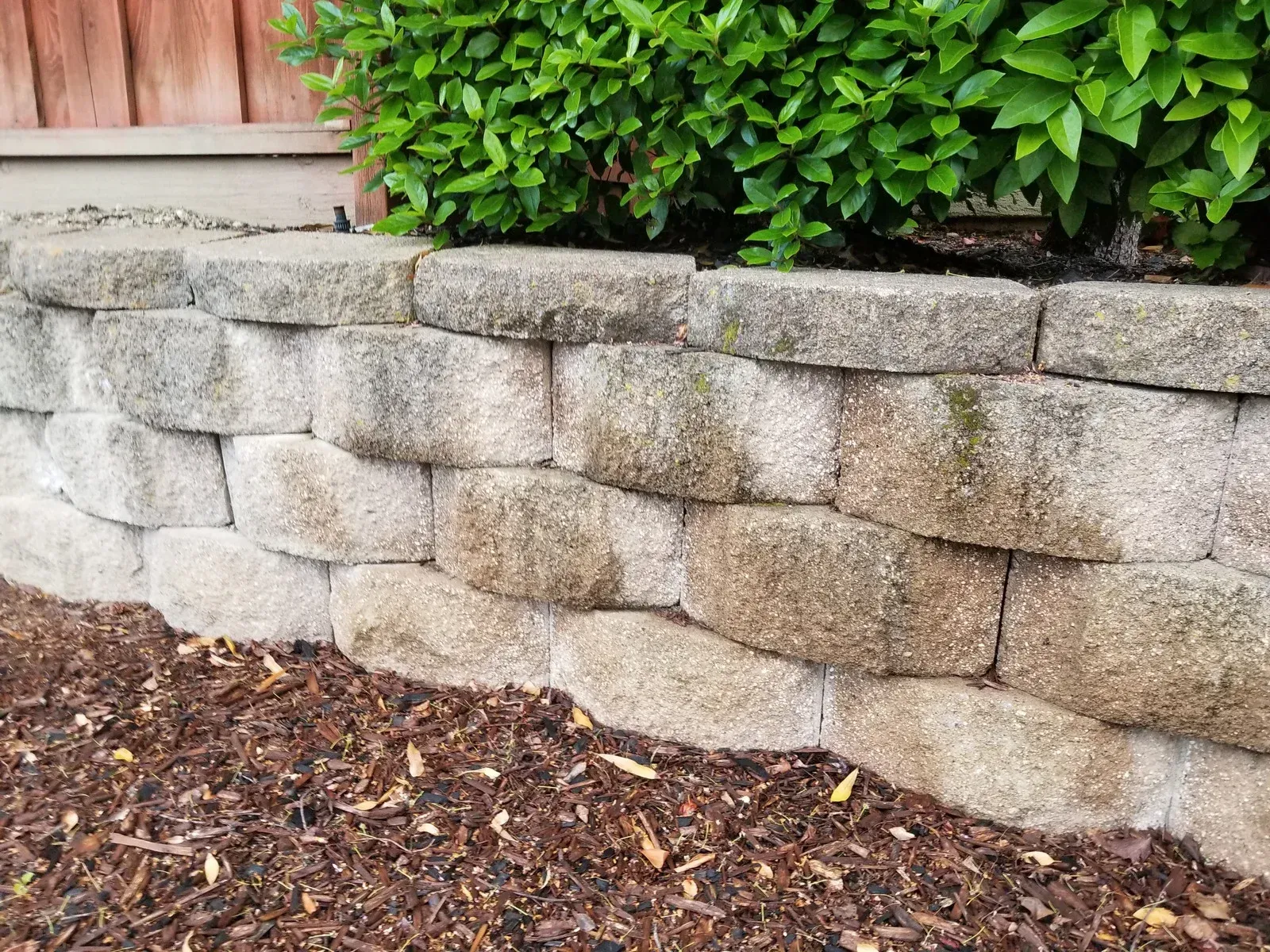 A stone wall with a bush in the background and a pile of mulch next to it.