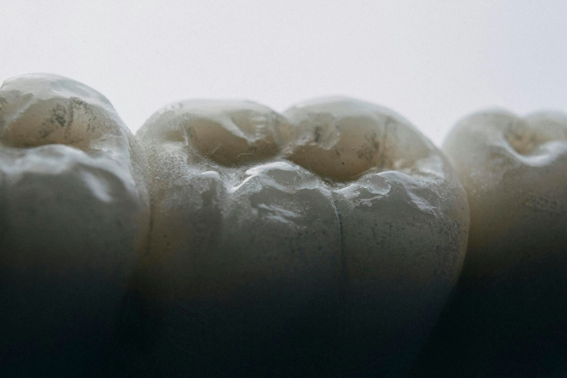 Close-up of three teeth, showing their textured surfaces and highlighting the molar's chewing surface.
