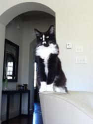 Black and White Male - 10 Months