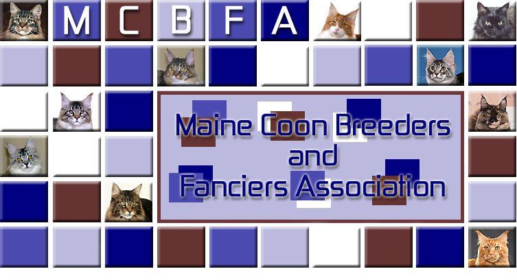 MCBFA - Maine Coon Breeders and Fanciers Association