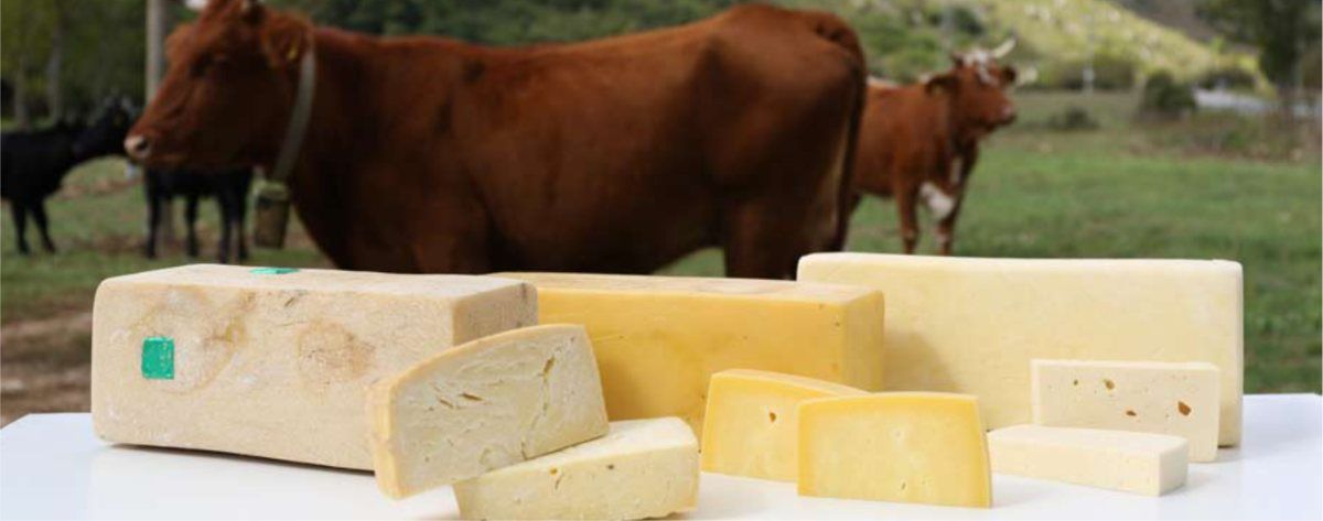 formaggi tradizionali