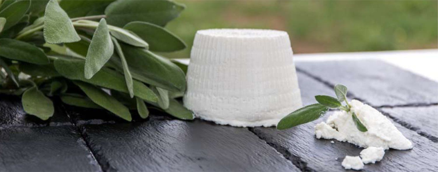ricotta fresca