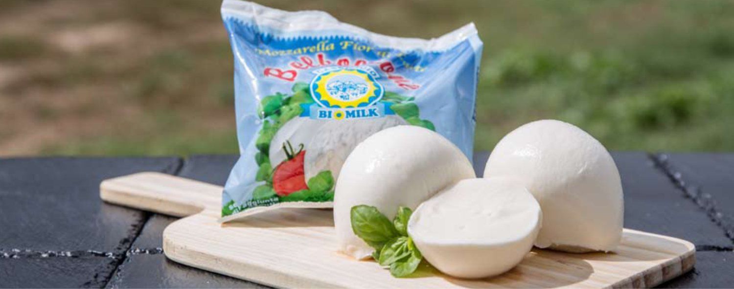 mozzarella fresca in busta