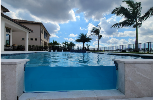 A large swimming pool with palm trees in the background