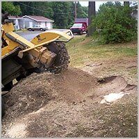 Grinding - Tree Service in Ellwood City, PA