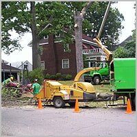 Tree Pruning - Tree Service in Ellwood City, PA