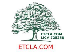 Tree Services in Malibu, CA | Environmental Tree Care Inc.
