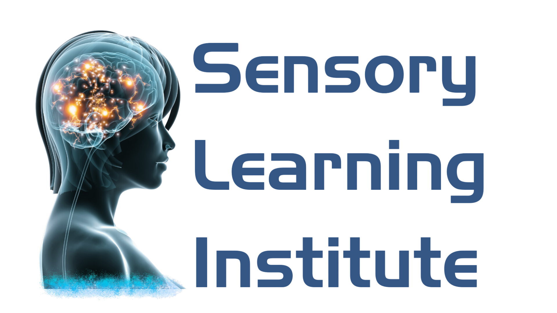 the logo for the sensory learning institute shows a woman 's head with a brain .