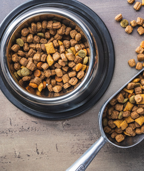 Dog food in a silver bowl and scoop on a gray surface.