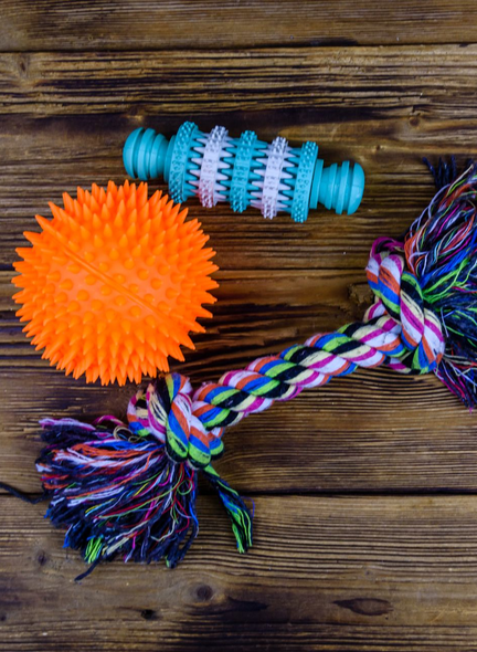 Dog toys on a wooden surface: orange spiky ball, blue chew toy, and colorful rope toy.