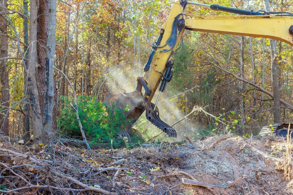 A Yellow Excavator Is Cutting Down Trees In The Woods — Territory Industries Pty Ltd In Uralla, NT