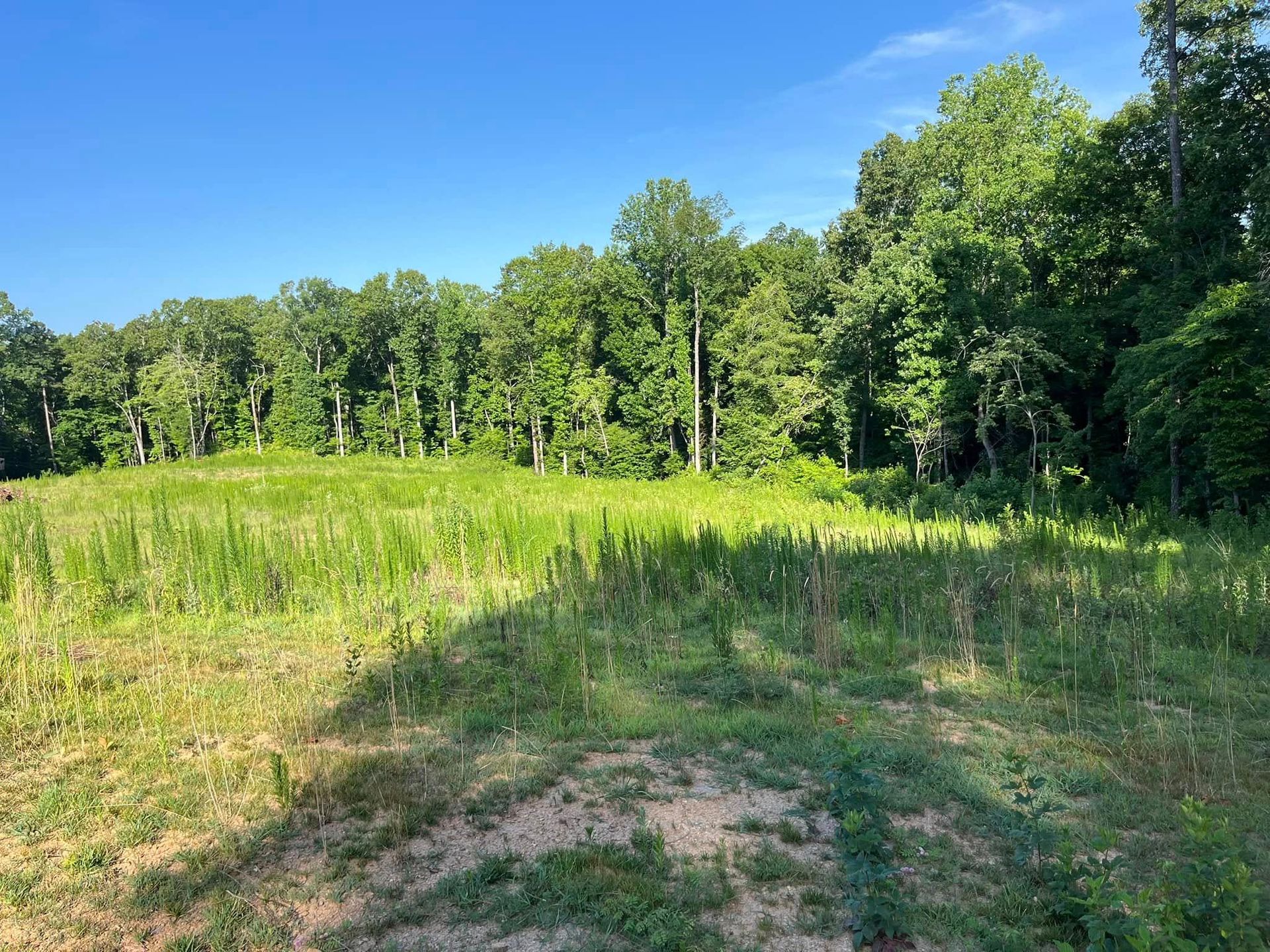 Construction Company Near Me, Iron Station Construction Company, Charlotte Construction Company, Mooresville Construction Company, Lincolnton Construction Company, Gastonia Construction Company, Huntersville Construction Company, Cornelius Construction Company, Davidson Construction Company, Hickory Construction Company, Mt Holly Construction Company, Lowesville Construction Company, Lowell Construction Company, High Shoals Construction Company, Stanley Construction Company, Newton Construction Company, Maiden Construction Company, New Construction, Home Building, Home Builder Near Me, Iron Station Home Builder, Charlotte Home Builder, Mooresville Home Builder, Lincolnton Home Builder, Gastonia Home Builder, Huntersville Home Builder, Cornelius Home Builder, Davidson Home Builder, Hickory Home Builder, Mt Holly Home Builder, Lowesville Home Builder, Lowell Home Builder, High Shoals Home Builder, Stanley Home Builder, Newton Home Builder, Maiden Home Builder, Custom Homes, Spec Home, ADU Builds, Barndominium Builds, Commercial New Construction, Remodeling, Remodeling Company Near Me, Remodelers Near Me, Commercial Remodeling, Office Remodeling, Kitchen Remodeling, Bath Remodeling, Iron Station Remodeling, Charlotte Remodeling, Mooresville Remodeling, Lincolnton Remodeling, Gastonia Remodeling, Huntersville Remodeling, Cornelius Remodeling, Davidson Remodeling, Hickory Remodeling, Mt Holly Remodeling, Lowesville Remodeling, Lowell Remodeling, High Shoals Remodeling, Stanley Remodeling, Newton Remodeling, Maiden Remodeling, Shower Installations, Whole Home Renovations, Additions, Deck Company Near Me, Deck Builds, Deck Installation, Deck Replacements, Land Management, Land Management Company Near Me, Forestry Mulching, Right of Way Management, Power, Gas, Property Grading, Grading Company Near Me, Excavation, Iron Station Excavation, Charlotte Excavation, Mooresville Excavation, Lincolnton Excavation, Gastonia Excavation, Huntersville Excavation, Cornelius Excavation, Davidson Excavation, Hickory Excavation, Mt Holly Excavation, Lowesville Excavation, Lowell Excavation, High Shoals Excavation, Stanley Excavation, Newton Excavation, Maiden Excavation, Excavation Company Near Me, Demolition, Iron Station Demolition, Charlotte Demolition, Mooresville Demolition, Lincolnton Demolition, Gastonia Demolition, Huntersville Demolition, Cornelius Demolition, Davidson Demolition, Hickory Demolition, Mt Holly Demolition, Lowesville Demolition, Lowell Demolition, High Shoals Demolition, Stanley Demolition, Newton Demolition, Maiden Demolition, Demolition Company Near Me, Residential Demolition, Storm Clean Up, Storm Clean Up Company Near Me, Iron Station NC, Charlotte NC, Myers Park Charlotte NC, Eastover Charlotte NC, Ballantyne Charlotte NC, Dilworth Charlotte NC, Mooresville NC, Lincolnton NC, Gastonia NC, Huntersville NC, Cornelius NC, Davidson NC, Hickory NC, Mt Holly NC, Lowesville NC, Lowell NC, High Shoals NC, Stanley NC, Newton NC, Maiden NC, Belmont NC, Denver NC