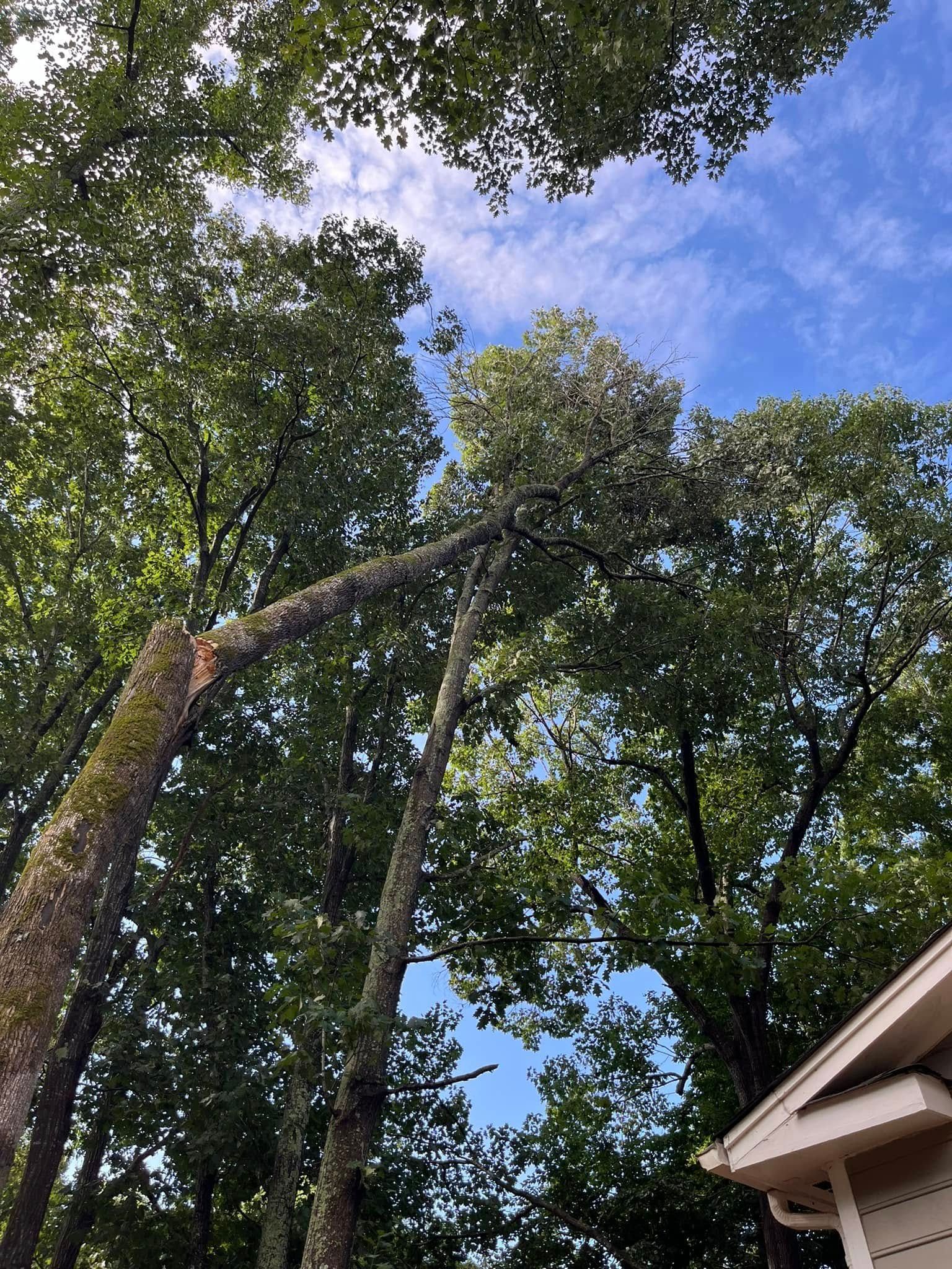 Construction Company Near Me, Iron Station Construction Company, Charlotte Construction Company, Mooresville Construction Company, Lincolnton Construction Company, Gastonia Construction Company, Huntersville Construction Company, Cornelius Construction Company, Davidson Construction Company, Hickory Construction Company, Mt Holly Construction Company, Lowesville Construction Company, Lowell Construction Company, High Shoals Construction Company, Stanley Construction Company, Newton Construction Company, Maiden Construction Company, New Construction, Home Building, Home Builder Near Me, Iron Station Home Builder, Charlotte Home Builder, Mooresville Home Builder, Lincolnton Home Builder, Gastonia Home Builder, Huntersville Home Builder, Cornelius Home Builder, Davidson Home Builder, Hickory Home Builder, Mt Holly Home Builder, Lowesville Home Builder, Lowell Home Builder, High Shoals Home Builder, Stanley Home Builder, Newton Home Builder, Maiden Home Builder, Custom Homes, Spec Home, ADU Builds, Barndominium Builds, Commercial New Construction, Remodeling, Remodeling Company Near Me, Remodelers Near Me, Commercial Remodeling, Office Remodeling, Kitchen Remodeling, Bath Remodeling, Iron Station Remodeling, Charlotte Remodeling, Mooresville Remodeling, Lincolnton Remodeling, Gastonia Remodeling, Huntersville Remodeling, Cornelius Remodeling, Davidson Remodeling, Hickory Remodeling, Mt Holly Remodeling, Lowesville Remodeling, Lowell Remodeling, High Shoals Remodeling, Stanley Remodeling, Newton Remodeling, Maiden Remodeling, Shower Installations, Whole Home Renovations, Additions, Deck Company Near Me, Deck Builds, Deck Installation, Deck Replacements, Land Management, Land Management Company Near Me, Forestry Mulching, Right of Way Management, Power, Gas, Property Grading, Grading Company Near Me, Excavation, Iron Station Excavation, Charlotte Excavation, Mooresville Excavation, Lincolnton Excavation, Gastonia Excavation, Huntersville Excavation, Cornelius Excavation, Davidson Excavation, Hickory Excavation, Mt Holly Excavation, Lowesville Excavation, Lowell Excavation, High Shoals Excavation, Stanley Excavation, Newton Excavation, Maiden Excavation, Excavation Company Near Me, Demolition, Iron Station Demolition, Charlotte Demolition, Mooresville Demolition, Lincolnton Demolition, Gastonia Demolition, Huntersville Demolition, Cornelius Demolition, Davidson Demolition, Hickory Demolition, Mt Holly Demolition, Lowesville Demolition, Lowell Demolition, High Shoals Demolition, Stanley Demolition, Newton Demolition, Maiden Demolition, Demolition Company Near Me, Residential Demolition, Storm Clean Up, Storm Clean Up Company Near Me, Iron Station NC, Charlotte NC, Myers Park Charlotte NC, Eastover Charlotte NC, Ballantyne Charlotte NC, Dilworth Charlotte NC, Mooresville NC, Lincolnton NC, Gastonia NC, Huntersville NC, Cornelius NC, Davidson NC, Hickory NC, Mt Holly NC, Lowesville NC, Lowell NC, High Shoals NC, Stanley NC, Newton NC, Maiden NC, Belmont NC, Denver NC