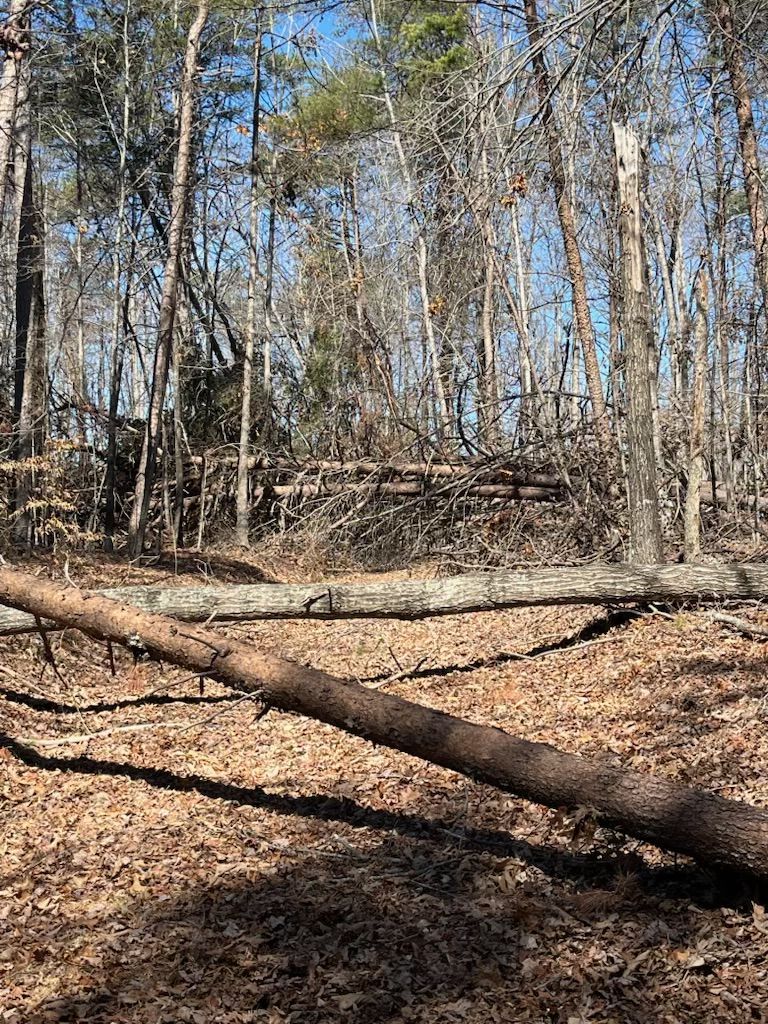 Construction Company Near Me, Iron Station Construction Company, Charlotte Construction Company, Mooresville Construction Company, Lincolnton Construction Company, Gastonia Construction Company, Huntersville Construction Company, Cornelius Construction Company, Davidson Construction Company, Hickory Construction Company, Mt Holly Construction Company, Lowesville Construction Company, Lowell Construction Company, High Shoals Construction Company, Stanley Construction Company, Newton Construction Company, Maiden Construction Company, New Construction, Home Building, Home Builder Near Me, Iron Station Home Builder, Charlotte Home Builder, Mooresville Home Builder, Lincolnton Home Builder, Gastonia Home Builder, Huntersville Home Builder, Cornelius Home Builder, Davidson Home Builder, Hickory Home Builder, Mt Holly Home Builder, Lowesville Home Builder, Lowell Home Builder, High Shoals Home Builder, Stanley Home Builder, Newton Home Builder, Maiden Home Builder, Custom Homes, Spec Home, ADU Builds, Barndominium Builds, Commercial New Construction, Remodeling, Remodeling Company Near Me, Remodelers Near Me, Commercial Remodeling, Office Remodeling, Kitchen Remodeling, Bath Remodeling, Iron Station Remodeling, Charlotte Remodeling, Mooresville Remodeling, Lincolnton Remodeling, Gastonia Remodeling, Huntersville Remodeling, Cornelius Remodeling, Davidson Remodeling, Hickory Remodeling, Mt Holly Remodeling, Lowesville Remodeling, Lowell Remodeling, High Shoals Remodeling, Stanley Remodeling, Newton Remodeling, Maiden Remodeling, Shower Installations, Whole Home Renovations, Additions, Deck Company Near Me, Deck Builds, Deck Installation, Deck Replacements, Land Management, Land Management Company Near Me, Forestry Mulching, Right of Way Management, Power, Gas, Property Grading, Grading Company Near Me, Excavation, Iron Station Excavation, Charlotte Excavation, Mooresville Excavation, Lincolnton Excavation, Gastonia Excavation, Huntersville Excavation, Cornelius Excavation, Davidson Excavation, Hickory Excavation, Mt Holly Excavation, Lowesville Excavation, Lowell Excavation, High Shoals Excavation, Stanley Excavation, Newton Excavation, Maiden Excavation, Excavation Company Near Me, Demolition, Iron Station Demolition, Charlotte Demolition, Mooresville Demolition, Lincolnton Demolition, Gastonia Demolition, Huntersville Demolition, Cornelius Demolition, Davidson Demolition, Hickory Demolition, Mt Holly Demolition, Lowesville Demolition, Lowell Demolition, High Shoals Demolition, Stanley Demolition, Newton Demolition, Maiden Demolition, Demolition Company Near Me, Residential Demolition, Storm Clean Up, Storm Clean Up Company Near Me, Iron Station NC, Charlotte NC, Myers Park Charlotte NC, Eastover Charlotte NC, Ballantyne Charlotte NC, Dilworth Charlotte NC, Mooresville NC, Lincolnton NC, Gastonia NC, Huntersville NC, Cornelius NC, Davidson NC, Hickory NC, Mt Holly NC, Lowesville NC, Lowell NC, High Shoals NC, Stanley NC, Newton NC, Maiden NC, Belmont NC, Denver NC