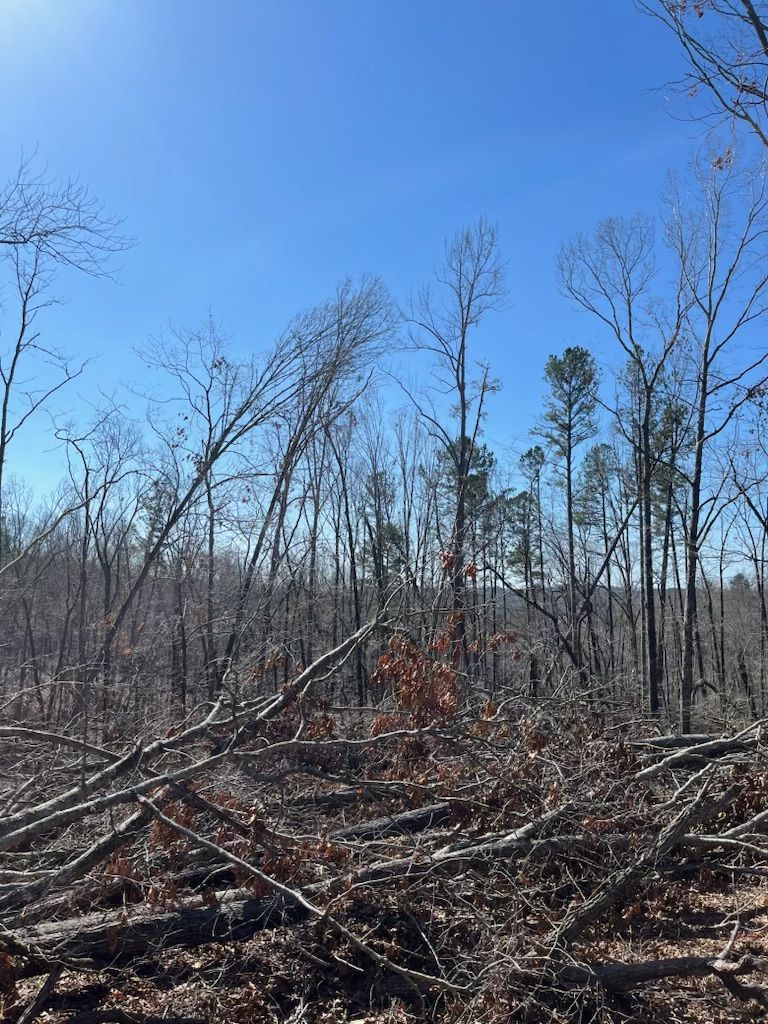 Construction Company Near Me, Iron Station Construction Company, Charlotte Construction Company, Mooresville Construction Company, Lincolnton Construction Company, Gastonia Construction Company, Huntersville Construction Company, Cornelius Construction Company, Davidson Construction Company, Hickory Construction Company, Mt Holly Construction Company, Lowesville Construction Company, Lowell Construction Company, High Shoals Construction Company, Stanley Construction Company, Newton Construction Company, Maiden Construction Company, New Construction, Home Building, Home Builder Near Me, Iron Station Home Builder, Charlotte Home Builder, Mooresville Home Builder, Lincolnton Home Builder, Gastonia Home Builder, Huntersville Home Builder, Cornelius Home Builder, Davidson Home Builder, Hickory Home Builder, Mt Holly Home Builder, Lowesville Home Builder, Lowell Home Builder, High Shoals Home Builder, Stanley Home Builder, Newton Home Builder, Maiden Home Builder, Custom Homes, Spec Home, ADU Builds, Barndominium Builds, Commercial New Construction, Remodeling, Remodeling Company Near Me, Remodelers Near Me, Commercial Remodeling, Office Remodeling, Kitchen Remodeling, Bath Remodeling, Iron Station Remodeling, Charlotte Remodeling, Mooresville Remodeling, Lincolnton Remodeling, Gastonia Remodeling, Huntersville Remodeling, Cornelius Remodeling, Davidson Remodeling, Hickory Remodeling, Mt Holly Remodeling, Lowesville Remodeling, Lowell Remodeling, High Shoals Remodeling, Stanley Remodeling, Newton Remodeling, Maiden Remodeling, Shower Installations, Whole Home Renovations, Additions, Deck Company Near Me, Deck Builds, Deck Installation, Deck Replacements, Land Management, Land Management Company Near Me, Forestry Mulching, Right of Way Management, Power, Gas, Property Grading, Grading Company Near Me, Excavation, Iron Station Excavation, Charlotte Excavation, Mooresville Excavation, Lincolnton Excavation, Gastonia Excavation, Huntersville Excavation, Cornelius Excavation, Davidson Excavation, Hickory Excavation, Mt Holly Excavation, Lowesville Excavation, Lowell Excavation, High Shoals Excavation, Stanley Excavation, Newton Excavation, Maiden Excavation, Excavation Company Near Me, Demolition, Iron Station Demolition, Charlotte Demolition, Mooresville Demolition, Lincolnton Demolition, Gastonia Demolition, Huntersville Demolition, Cornelius Demolition, Davidson Demolition, Hickory Demolition, Mt Holly Demolition, Lowesville Demolition, Lowell Demolition, High Shoals Demolition, Stanley Demolition, Newton Demolition, Maiden Demolition, Demolition Company Near Me, Residential Demolition, Storm Clean Up, Storm Clean Up Company Near Me, Iron Station NC, Charlotte NC, Myers Park Charlotte NC, Eastover Charlotte NC, Ballantyne Charlotte NC, Dilworth Charlotte NC, Mooresville NC, Lincolnton NC, Gastonia NC, Huntersville NC, Cornelius NC, Davidson NC, Hickory NC, Mt Holly NC, Lowesville NC, Lowell NC, High Shoals NC, Stanley NC, Newton NC, Maiden NC, Belmont NC, Denver NC