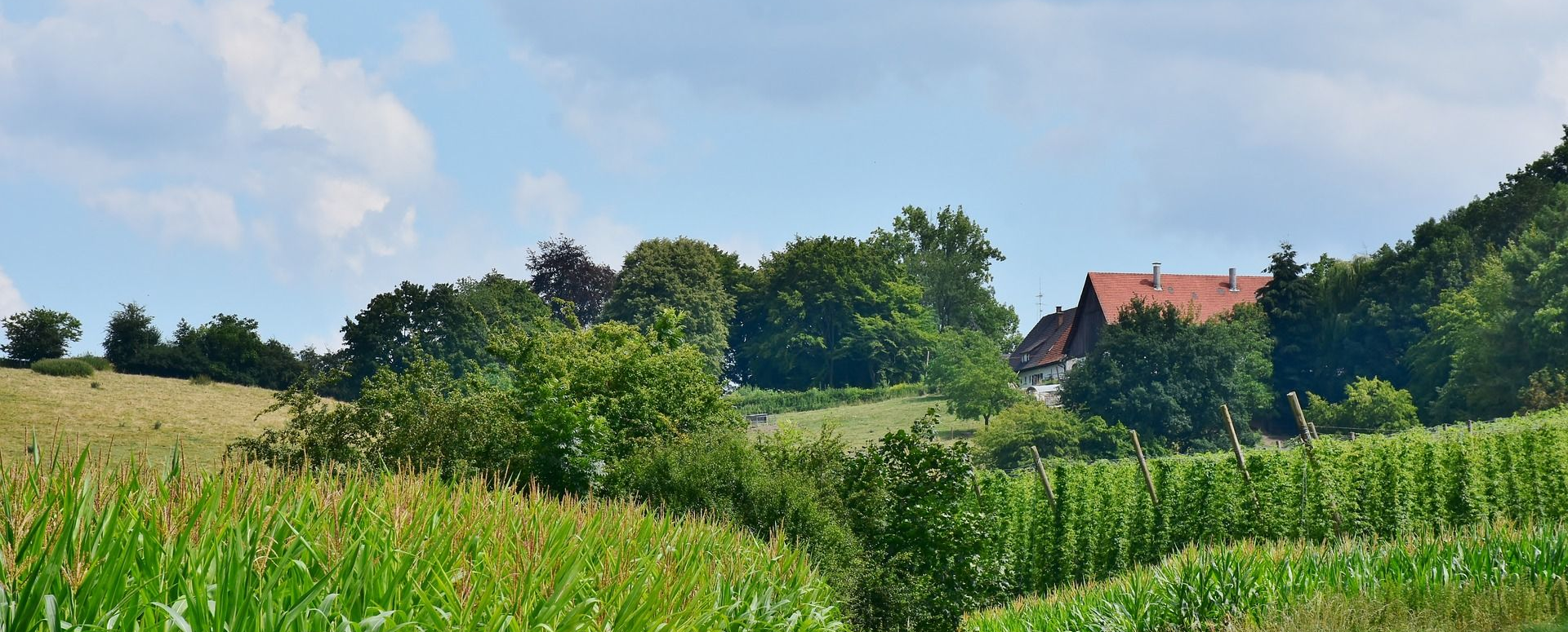 Hopfen Hallertau Radreise