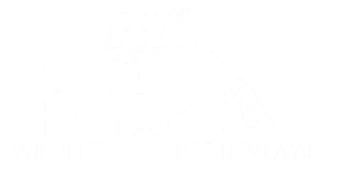 Urban Wildlife and Bee Removal Logo