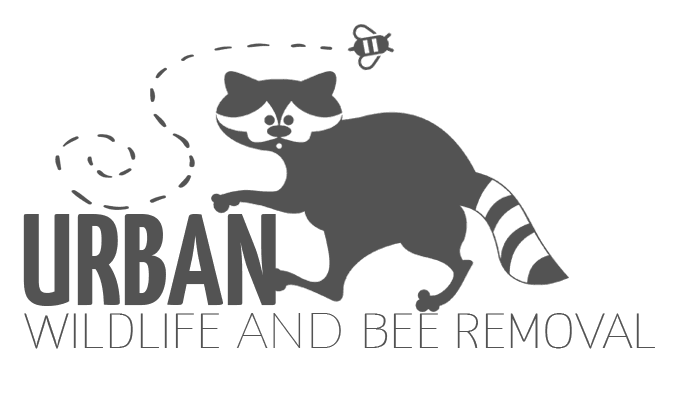 Urban Wildlife and Bee Removal Logo