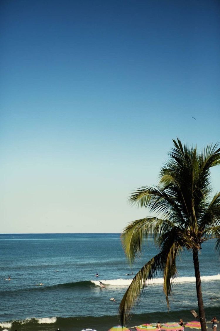 Un surfeur surfe sur une vague sur la plage à côté d'un palmier dans Sayulita, le village de la retraite