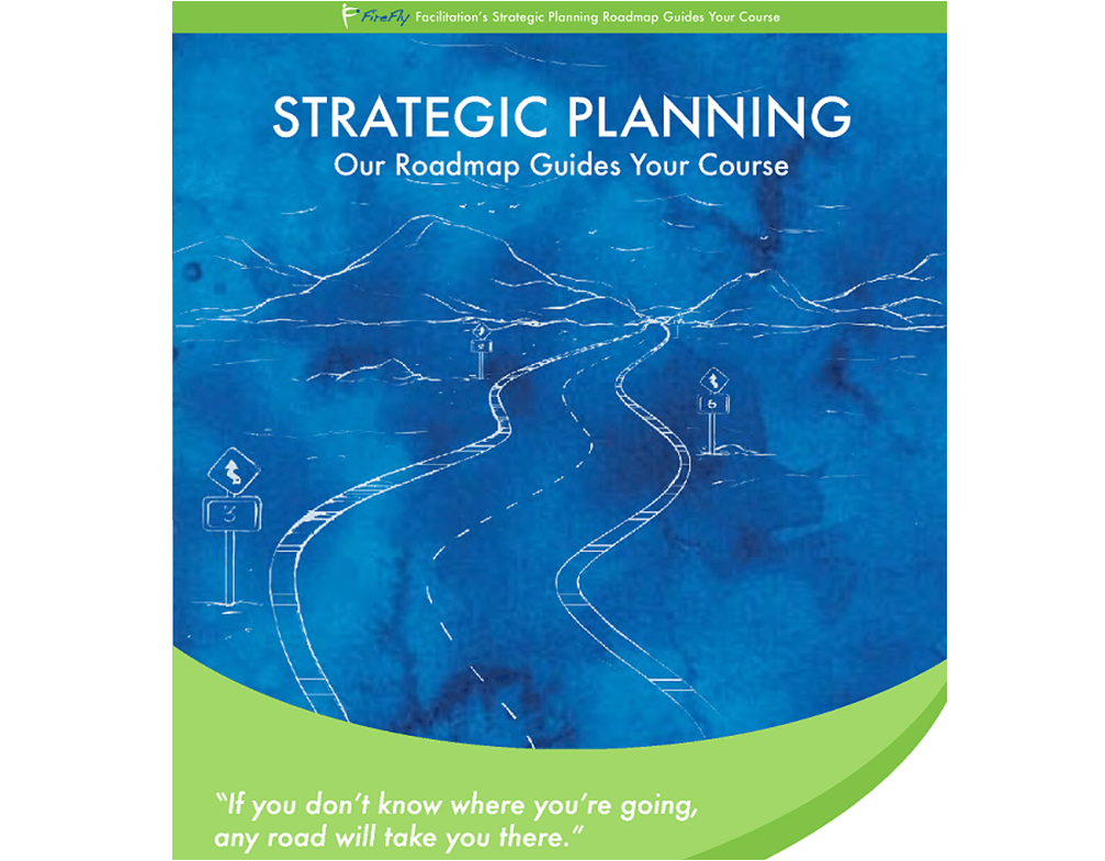 Strategic Planning Roadmap, Expert strategic planner