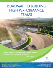 Linkd to FireFly Facilitations  e-book on Team Effectiveness