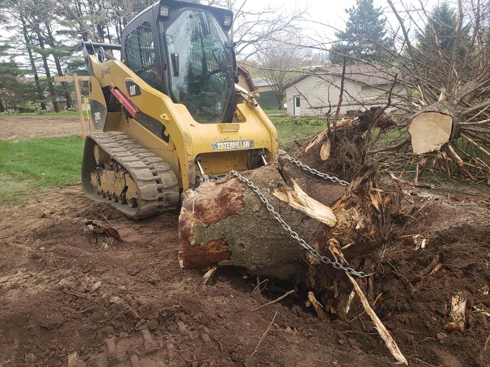 A bulldozer is pulling a large tree stump out of the ground.