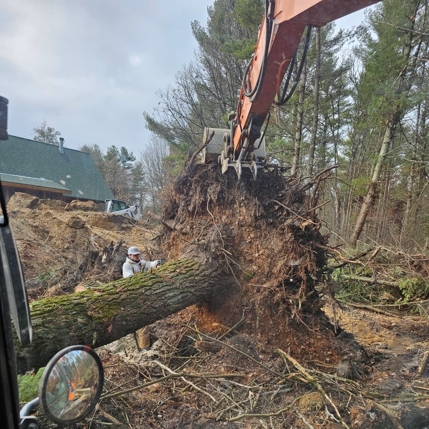 A large tree stump is being removed by an excavator.