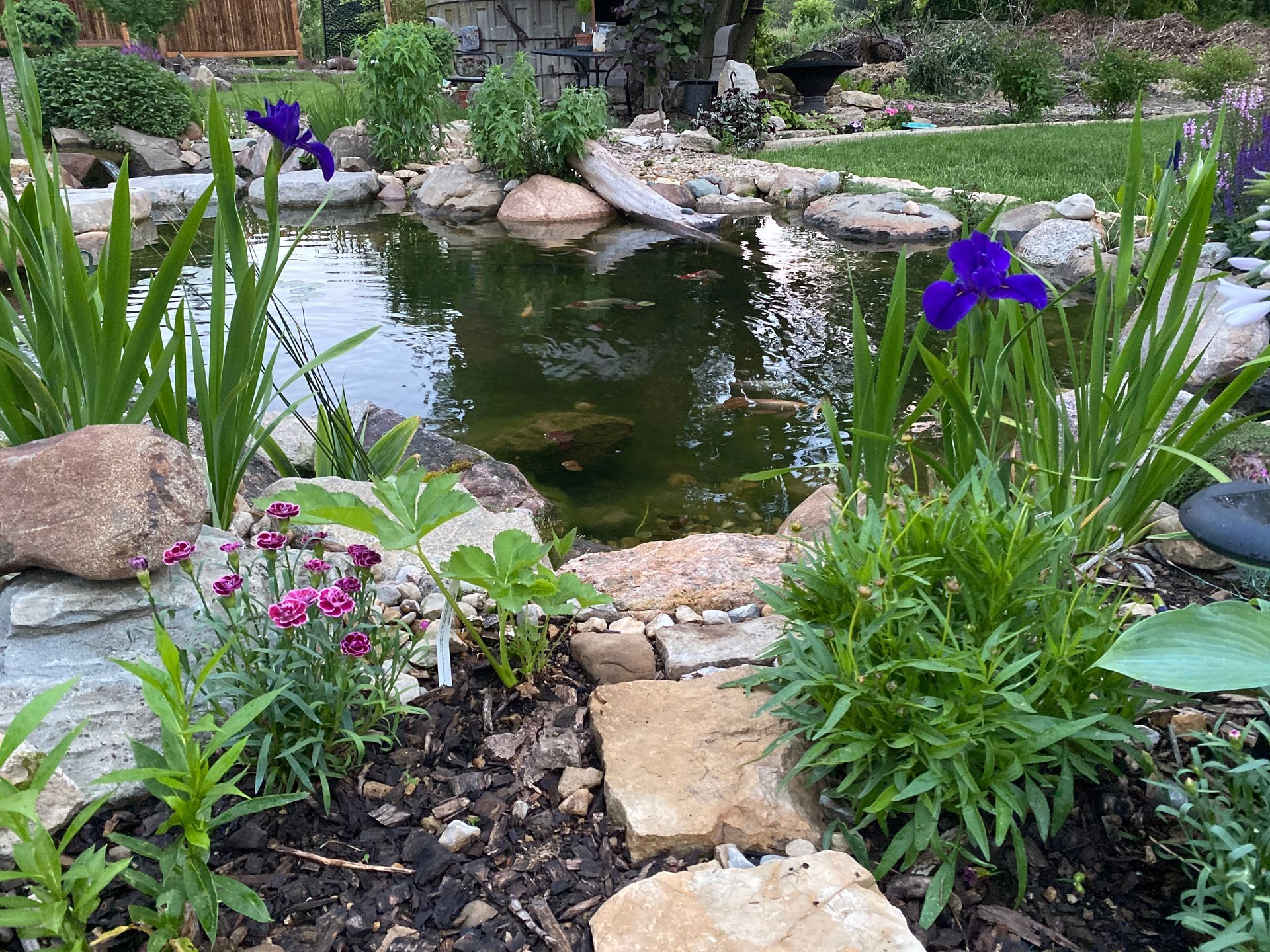 A pond surrounded by flowers and rocks in a garden.