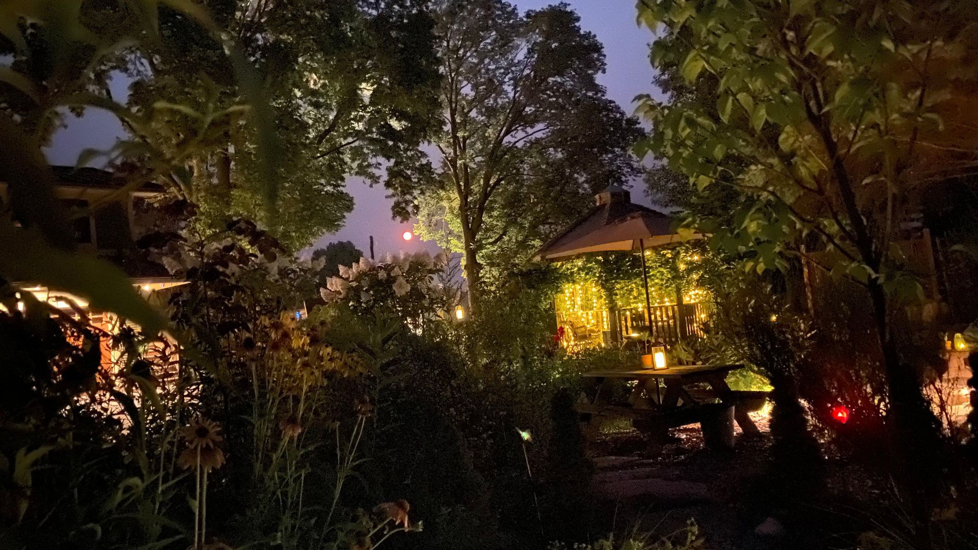 A gazebo is lit up in the middle of a forest at night