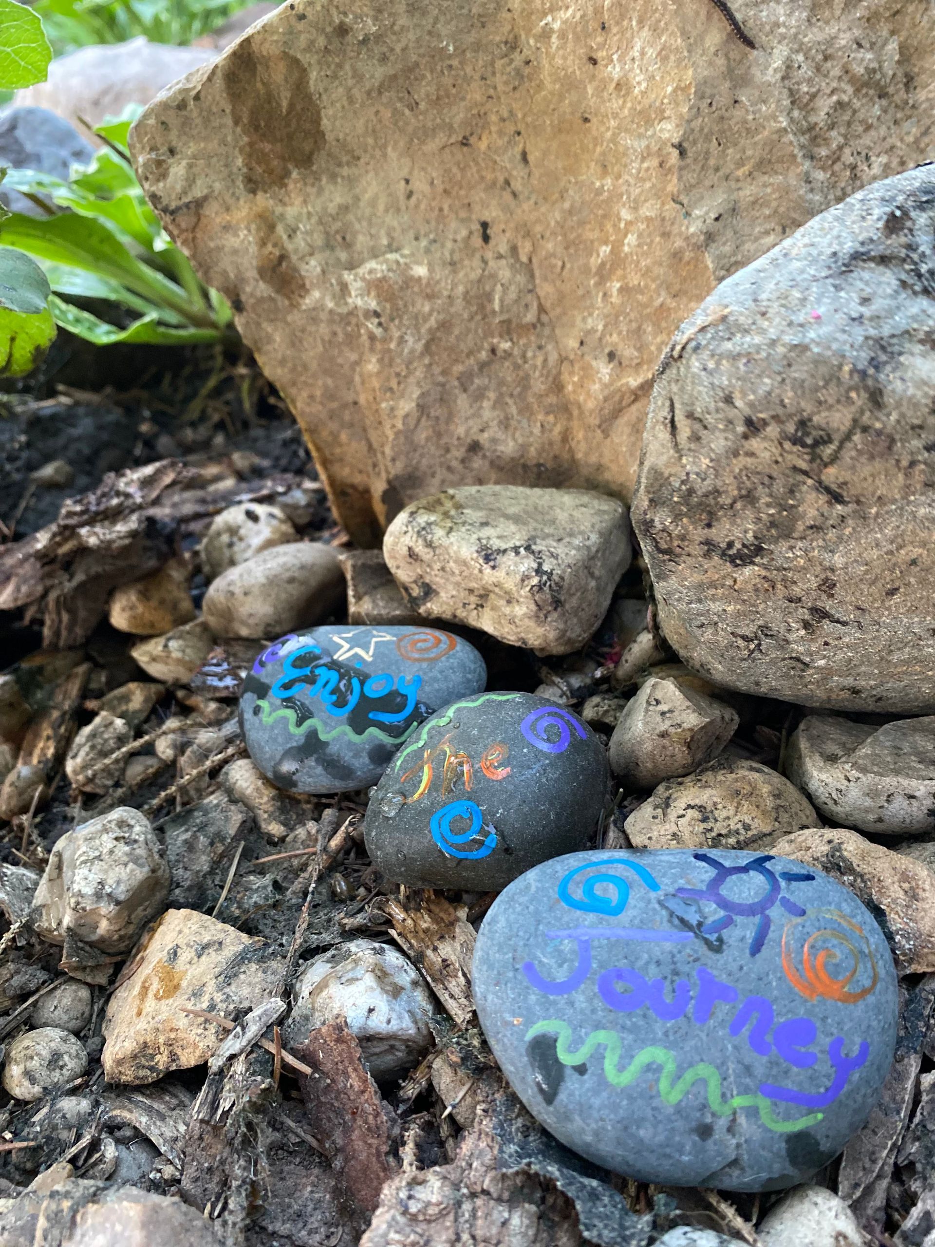 A group of rocks sitting on top of a pile of rocks.