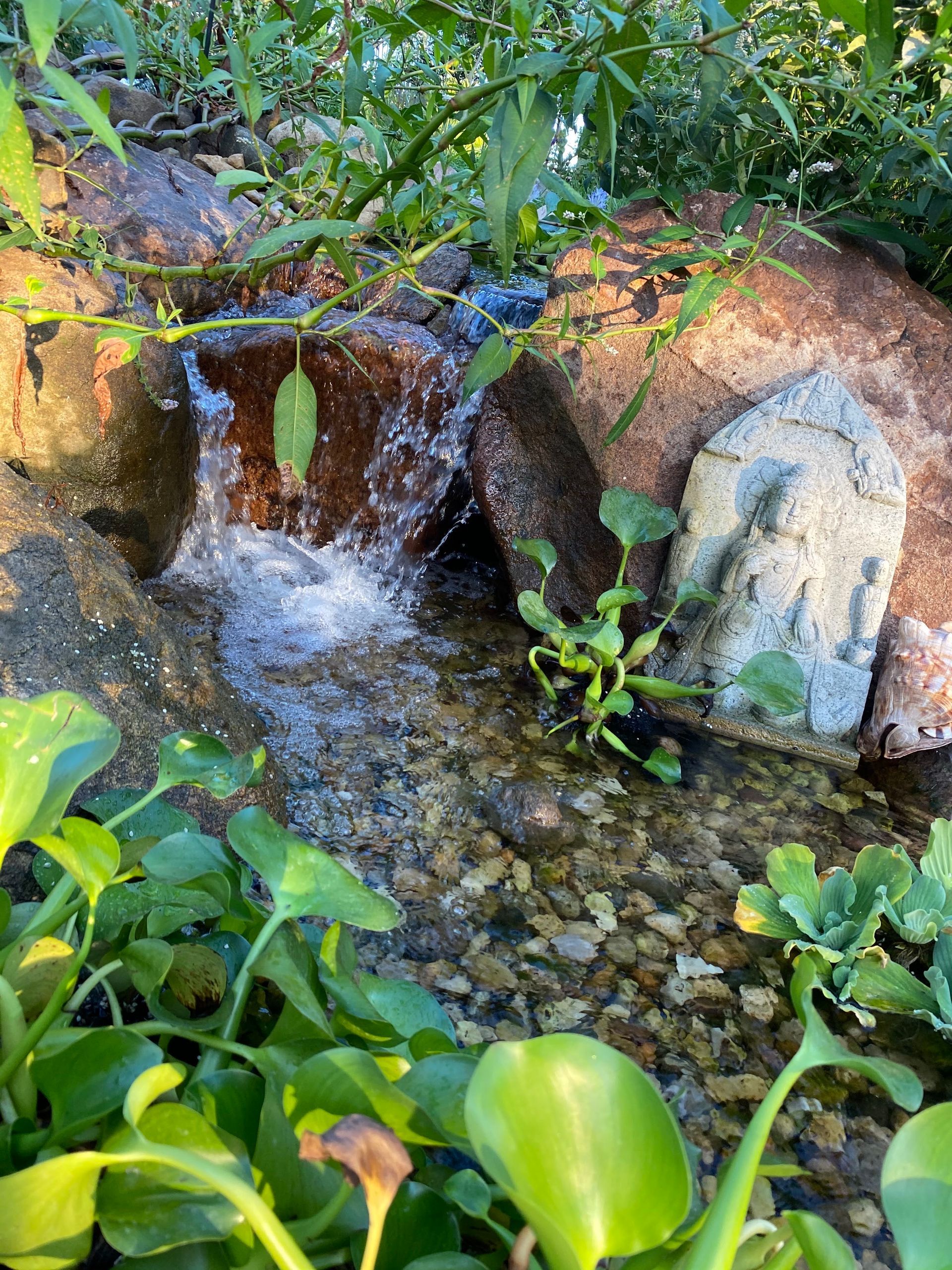 A small waterfall is surrounded by plants and rocks in a garden.